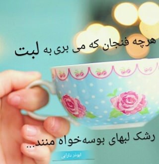هر چه فنجان که میبری به لبت، رشک لبهای بوسهخواه منند