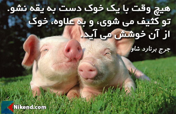 george bernard shaw never to wrestle with a pig