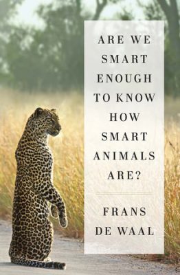 آیا ما به اندازه کافی باهوش هستیم که بدانیم حیوانات چقدر باهوش هستند؟